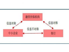 賽億科技 以創新解決方案驅動物聯網產業發展